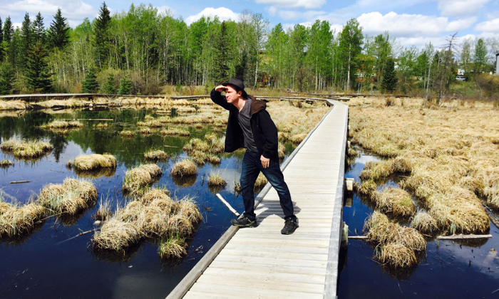 On the lookout for beavers in Hinton