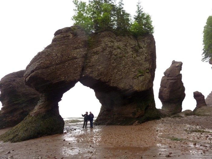 hopewell rocks - nb