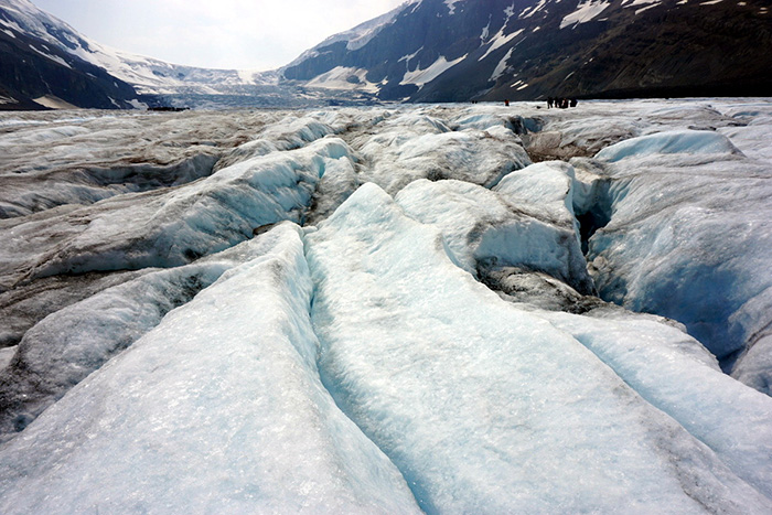 icefields-1